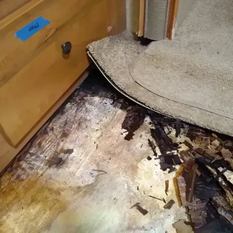 Wood Floor Water Damage in Commerce City, CO